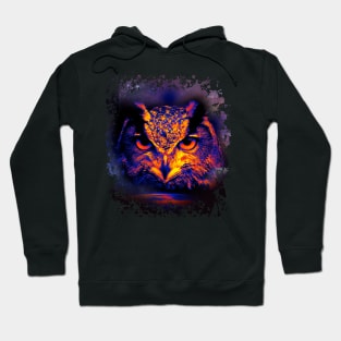 Cosmic Bright owl- animal guide Hoodie